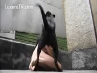 His dark dog is fucking his butt